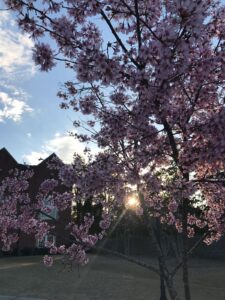 Vaihtoon UPGlobal Vaihto-opiskelu UniversalPlayers